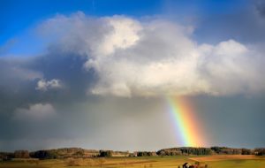 Cuaca Lampung 21 Juli 2025: Cek Daerahmu!
