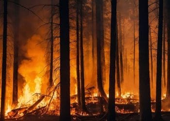 Ilustrasi kebakaran di Mountain Fire California Amerika Serikat