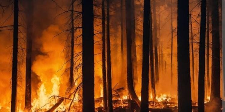 Ilustrasi kebakaran di Mountain Fire California Amerika Serikat