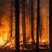 Ilustrasi kebakaran di Mountain Fire California Amerika Serikat