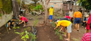 Warga Jagalan Tanam 165 Bibit Sayuran untuk Ketahanan Pangan Mandiri