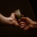 Cerpen: Cinta yang Terselubung Rahasia