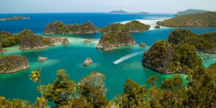 Cerpen: Mimpi dari Ujung Papua