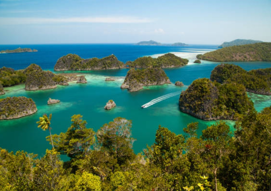 Cerpen: Mimpi dari Ujung Papua