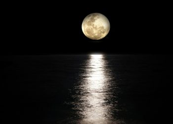 Cerpen: Di Bawah Cahaya Bulan