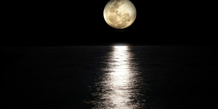Cerpen: Di Bawah Cahaya Bulan