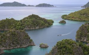 Cerpen: Mimpi dari Ujung Papua Part 2