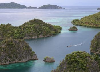 Cerpen: Mimpi dari Ujung Papua Part 2