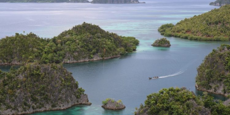 Cerpen: Mimpi dari Ujung Papua Part 2