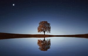 Kumpulan Puisi Refleksi Hati Karya Sujud