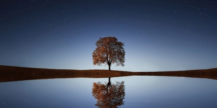 Kumpulan Puisi Refleksi Hati Karya Sujud