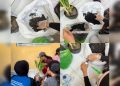 Pelatihan Budidaya Tanaman Hias Solusi Kreatif Tambah Penghasilan