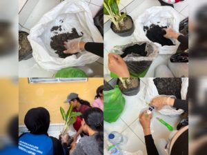 Pelatihan Budidaya Tanaman Hias Solusi Kreatif Tambah Penghasilan