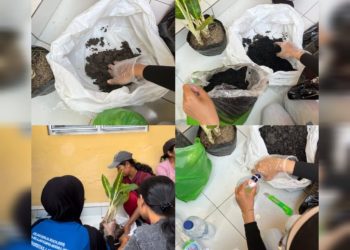 Pelatihan Budidaya Tanaman Hias Solusi Kreatif Tambah Penghasilan