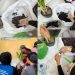 Pelatihan Budidaya Tanaman Hias Solusi Kreatif Tambah Penghasilan