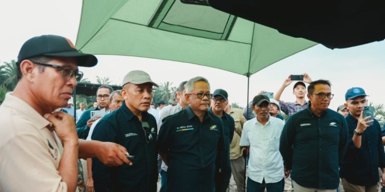 PTPN IV PalmCo Percepat Peremajaan Sawit Rakyat, Rekomtek Petani Binaan Tembus 13 Ribu Ha  