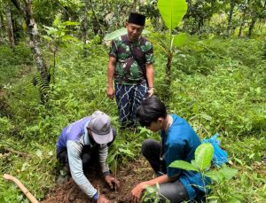 Mahasiswa KKN Unila Tanam Bibit Alpukat dan Jambu di Desa Baru Ranji
