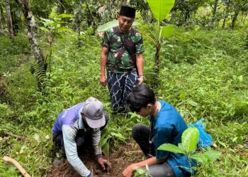 Mahasiswa KKN Unila Tanam Bibit Alpukat dan Jambu di Desa Baru Ranji