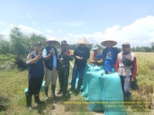 BPP Natar dan LO Bulog Kawal Serapan Gabah Petani di Natar