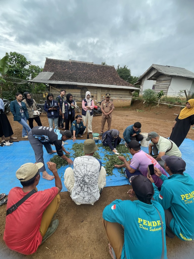 Mahasiswa KKN Unila mengedukasi warga Desa Sukasari, Tanjung Raja, Lampung Utara membuat silase.