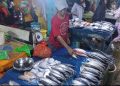 Daftar Harga Ikan Segar di Pasar Gudang Lelang