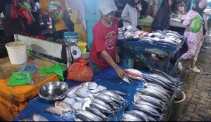 Daftar Harga Ikan Segar di Pasar Gudang Lelang