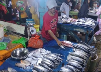 Daftar Harga Ikan Segar di Pasar Gudang Lelang