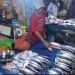Daftar Harga Ikan Segar di Pasar Gudang Lelang