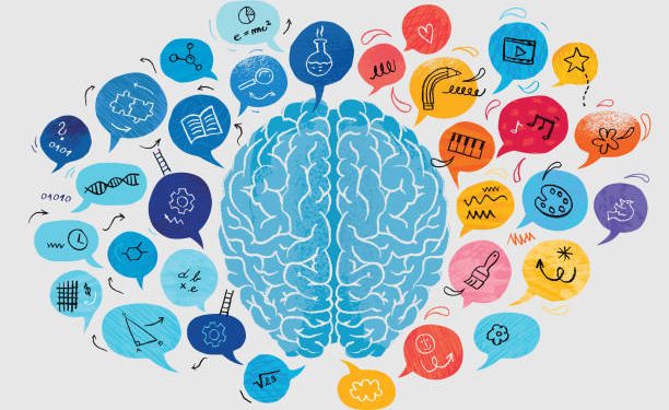 Ilmu Pengetahuan Alam dan Ilmu Pengetahuan Sosial