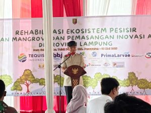 Gubernur Lampung Tanam 3.000 Mangrove: Mitra Bentala Turut Serta