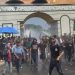 Suara Mahasiswa dan Petani Singkong Menggema di Depan DPRD Lampung