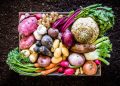 Real food