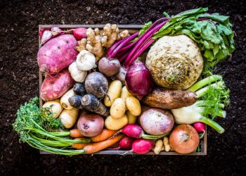 Real food
