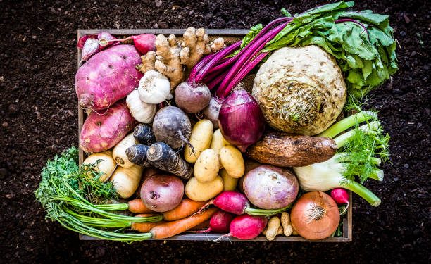 Real food