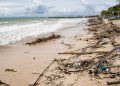 Dampak Sampah Plastik Bagi Laut, Ekosistem Terancam