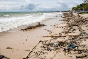 Dampak Sampah Plastik Bagi Laut, Ekosistem Terancam