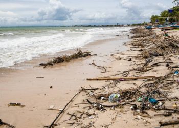 Dampak Sampah Plastik Bagi Laut, Ekosistem Terancam