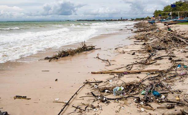 Dampak Sampah Plastik Bagi Laut, Ekosistem Terancam