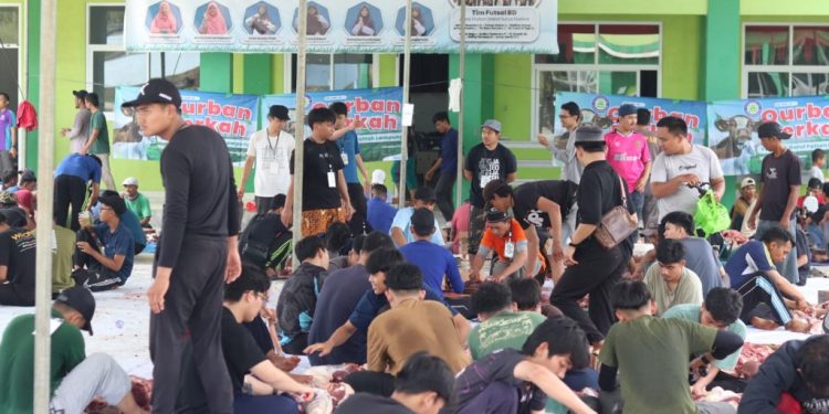 qurban darul fattah
