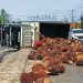 Truk Sawit Terguling di Jalur Bypass Rajabasa, Kemacetan Mengular hingga Satu Kilometer
