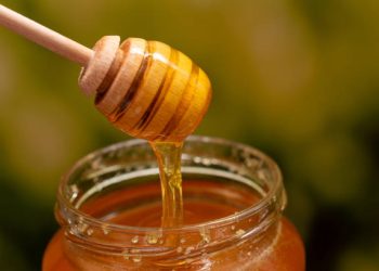 tips memilih jenis madu