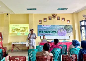Mitra Bentala Dorong Penguatan Kelompok Peduli Mangrove Kota Karang