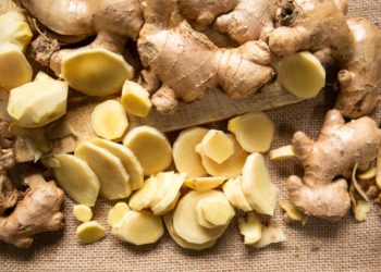 manfaat jahe bagi kesehatan tubuh