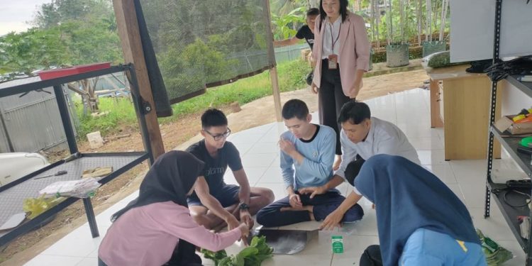 magang perdana