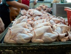 Tips Memilih Ayam Segar, Ini Panduan Lengkapnya