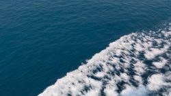 Fakta Unik Laut Ungkap Rahasia Bumi yang Belum Banyak Diketahui