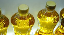 Ragam Jenis Minyak dan Perbedaannya bagi Kesehatan