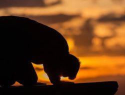 Keutamaan Hari Jumat Menjadi Waktu Paling Mulia dalam Syariat Islam