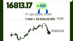 erson agustinus, ekonomi