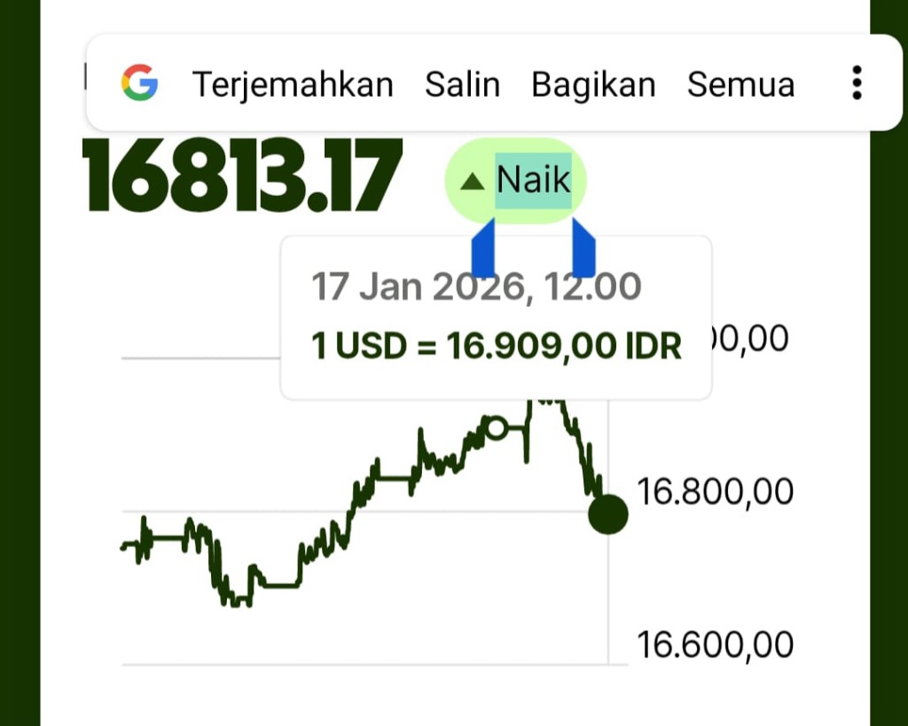erson agustinus, ekonomi